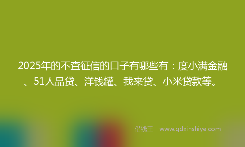 2025年的不查征信的口子有哪些有：度小满金融、51人品贷、洋钱罐、我来贷、小米贷款等。