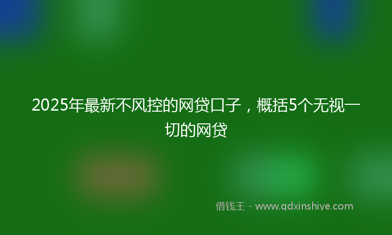 2025年最新不风控的网贷口子，概括5个无视一切的网贷