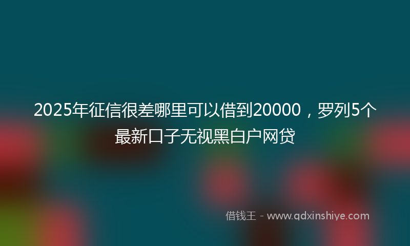 2025年征信很差哪里可以借到20000，罗列5个最新口子无视黑白户网贷