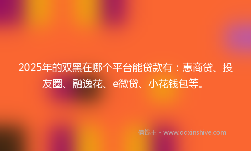 2025年的双黑在哪个平台能贷款有：惠商贷、投友圈、融逸花、e微贷、小花钱包等。