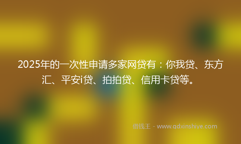 2025年的一次性申请多家网贷有：你我贷、东方汇、平安i贷、拍拍贷、信用卡贷等。