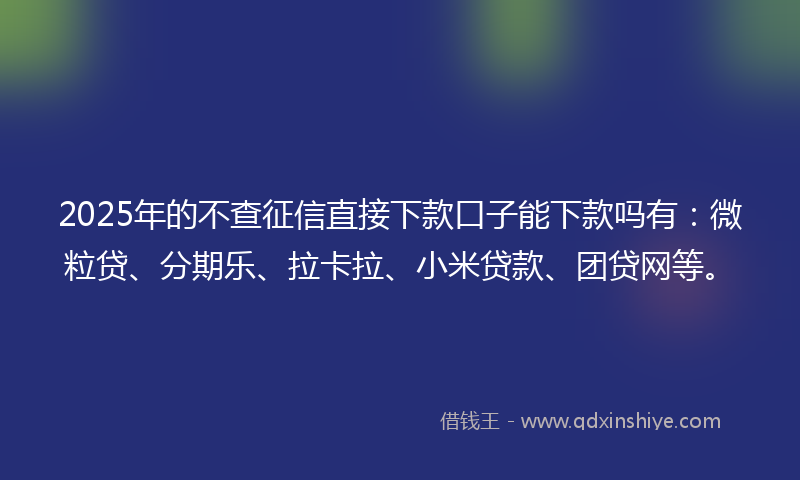 2025年的不查征信直接下款口子能下款吗有：微粒贷、分期乐、拉卡拉、小米贷款、团贷网等。