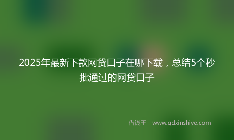 2025年最新下款网贷口子在哪下载，总结5个秒批通过的网贷口子