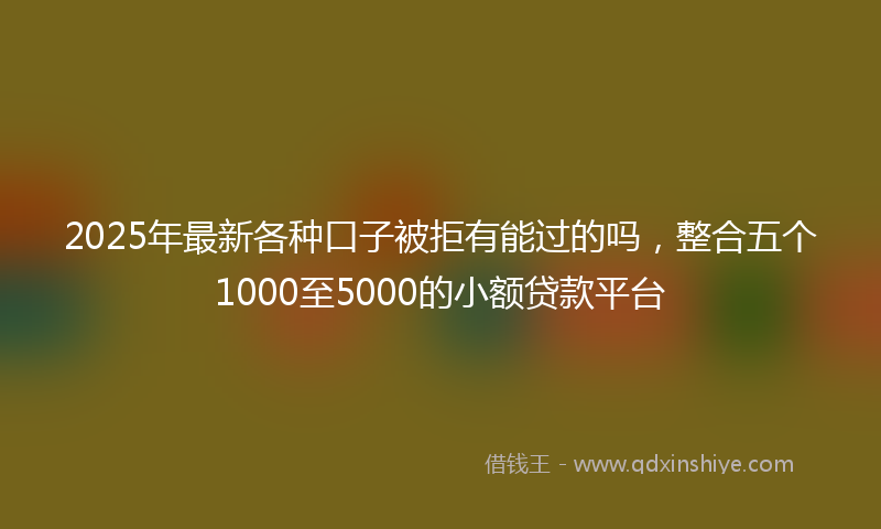 2025年最新各种口子被拒有能过的吗，整合五个1000至5000的小额贷款平台