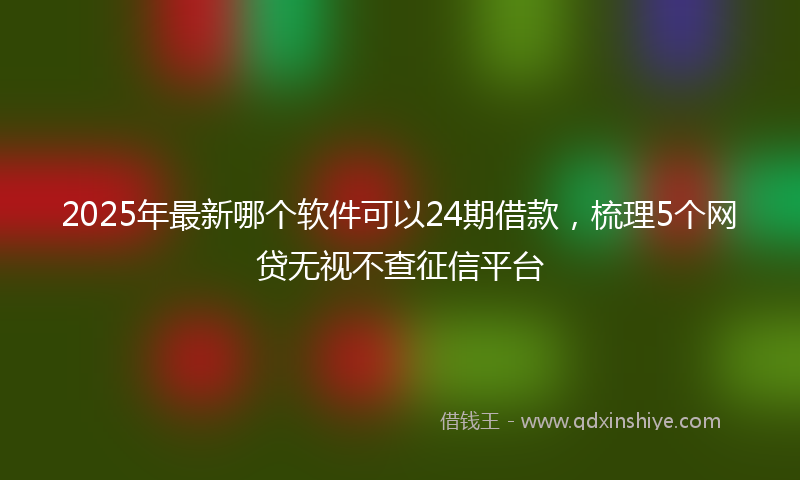 2025年最新哪个软件可以24期借款，梳理5个网贷无视不查征信平台