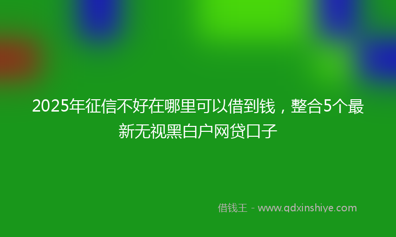 2025年征信不好在哪里可以借到钱，整合5个最新无视黑白户网贷口子