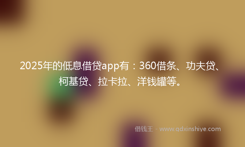 2025年的低息借贷app有：360借条、功夫贷、柯基贷、拉卡拉、洋钱罐等。