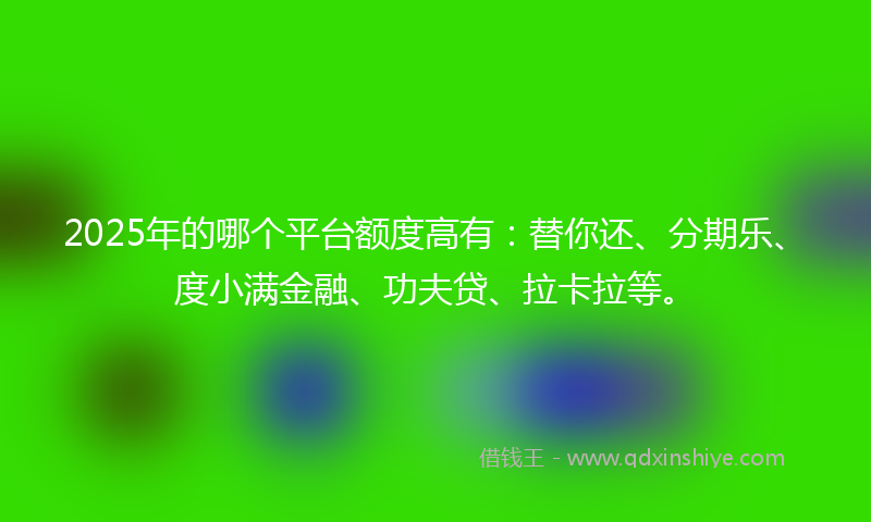 2025年的哪个平台额度高有：替你还、分期乐、度小满金融、功夫贷、拉卡拉等。