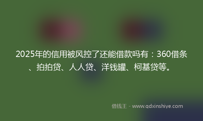 2025年的信用被风控了还能借款吗有：360借条、拍拍贷、人人贷、洋钱罐、柯基贷等。