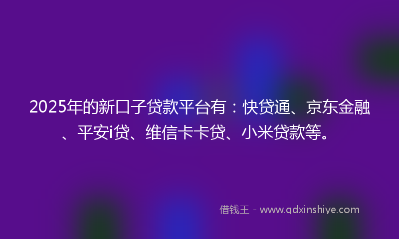 2025年的新口子贷款平台有：快贷通、京东金融、平安i贷、维信卡卡贷、小米贷款等。
