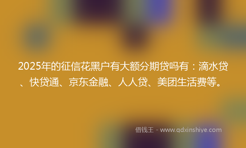 2025年的征信花黑户有大额分期贷吗有：滴水贷、快贷通、京东金融、人人贷、美团生活费等。