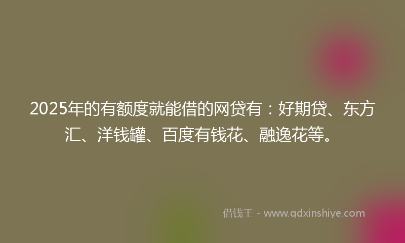 2025年的有额度就能借的网贷有：好期贷、东方汇、洋钱罐、百度有钱花、融逸花等。