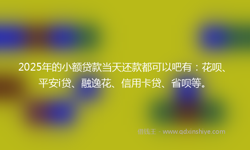 2025年的小额贷款当天还款都可以吧有：花呗、平安i贷、融逸花、信用卡贷、省呗等。