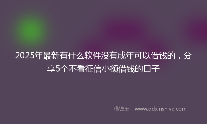 2025年最新有什么软件没有成年可以借钱的，分享5个不看征信小额借钱的口子