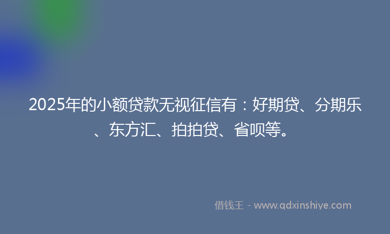 2025年的小额贷款无视征信有：好期贷、分期乐、东方汇、拍拍贷、省呗等。