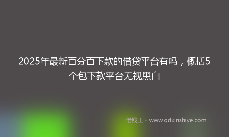 2025年最新百分百下款的借贷平台有吗，概括5个包下款平台无视黑白