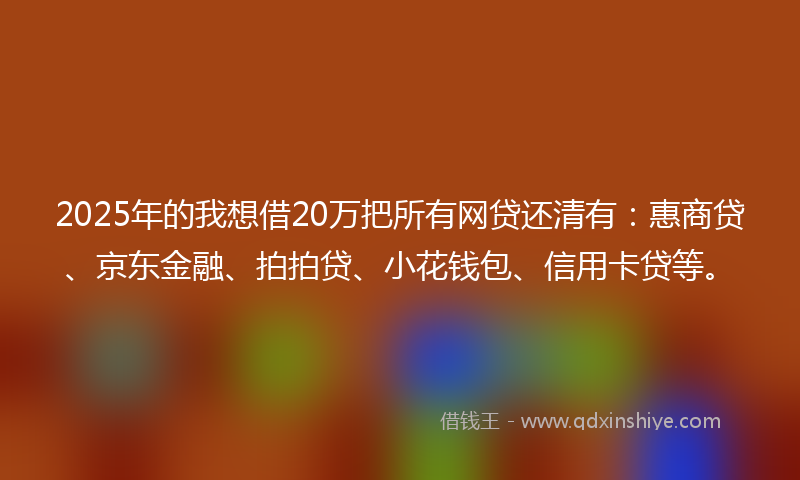 2025年的我想借20万把所有网贷还清有：惠商贷、京东金融、拍拍贷、小花钱包、信用卡贷等。