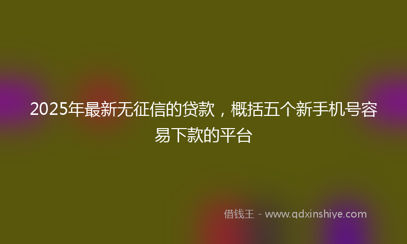 2025年最新无征信的贷款，概括五个新手机号容易下款的平台