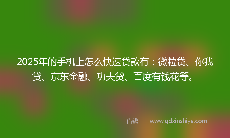 2025年的手机上怎么快速贷款有：微粒贷、你我贷、京东金融、功夫贷、百度有钱花等。