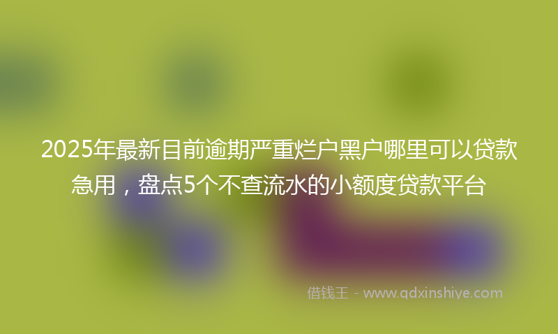 2025年最新目前逾期严重烂户黑户哪里可以贷款急用，盘点5个不查流水的小额度贷款平台