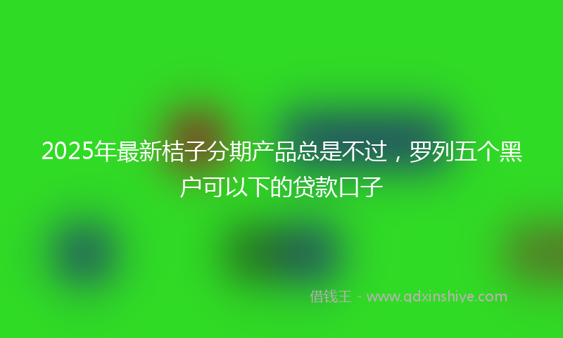 2025年最新桔子分期产品总是不过，罗列五个黑户可以下的贷款口子