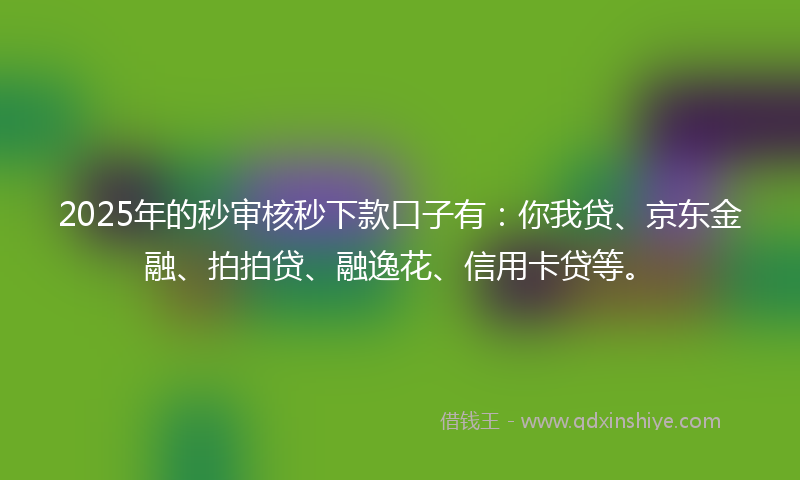 2025年的秒审核秒下款口子有：你我贷、京东金融、拍拍贷、融逸花、信用卡贷等。
