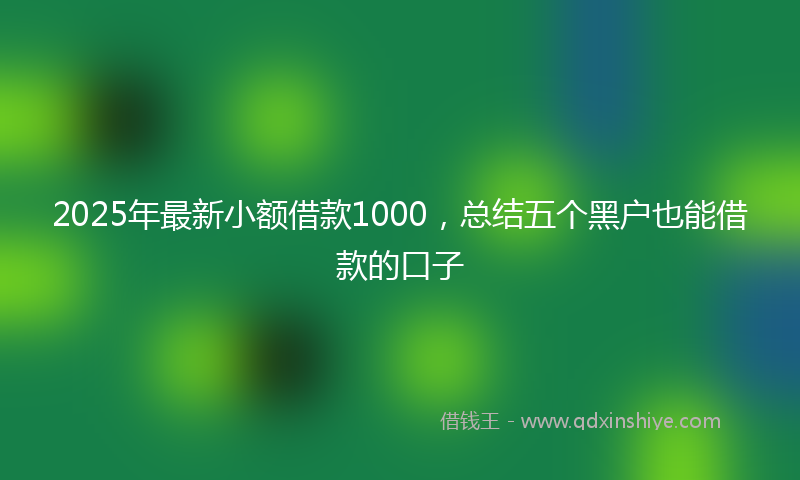 2025年最新小额借款1000，总结五个黑户也能借款的口子