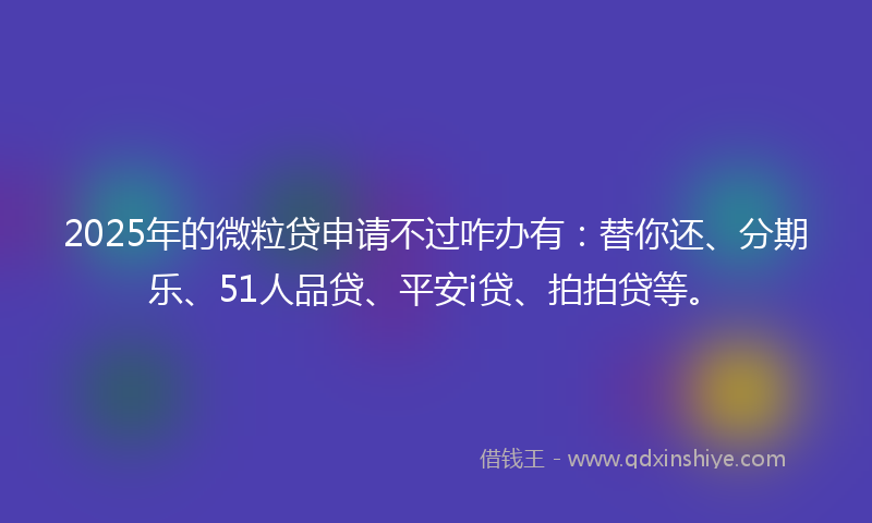 2025年的微粒贷申请不过咋办有：替你还、分期乐、51人品贷、平安i贷、拍拍贷等。
