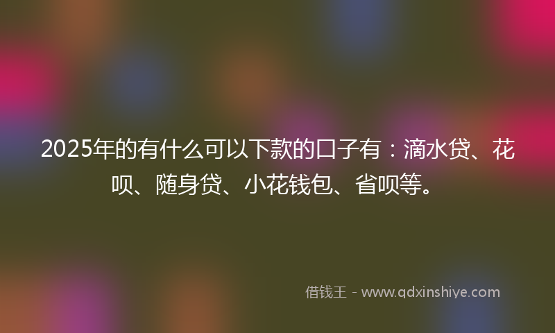 2025年的有什么可以下款的口子有：滴水贷、花呗、随身贷、小花钱包、省呗等。