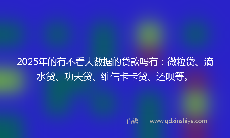 2025年的有不看大数据的贷款吗有：微粒贷、滴水贷、功夫贷、维信卡卡贷、还呗等。