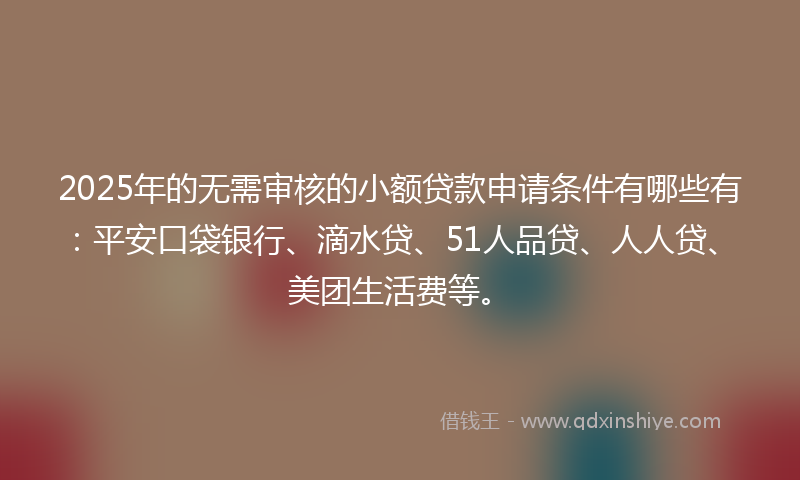 2025年的无需审核的小额贷款申请条件有哪些有：平安口袋银行、滴水贷、51人品贷、人人贷、美团生活费等。