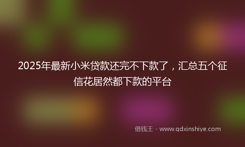 2025年最新小米贷款还完不下款了，汇总五个征信花居然都下款的平台