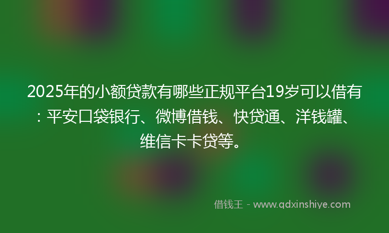 2025年的小额贷款有哪些正规平台19岁可以借有：平安口袋银行、微博借钱、快贷通、洋钱罐、维信卡卡贷等。