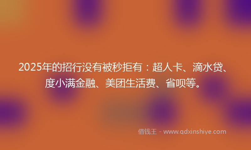 2025年的招行没有被秒拒有：超人卡、滴水贷、度小满金融、美团生活费、省呗等。