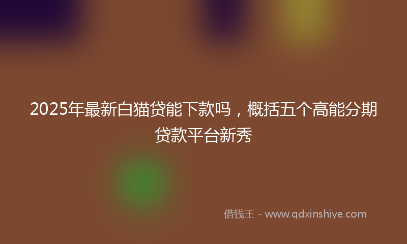 2025年最新白猫贷能下款吗，概括五个高能分期贷款平台新秀