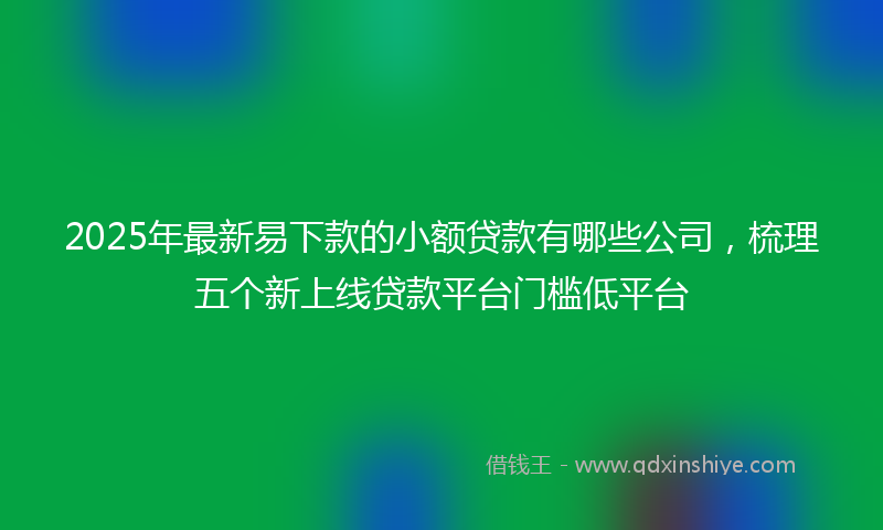 2025年最新易下款的小额贷款有哪些公司，梳理五个新上线贷款平台门槛低平台