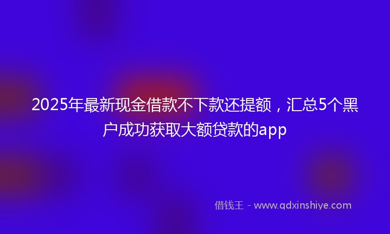 2025年最新现金借款不下款还提额，汇总5个黑户成功获取大额贷款的app