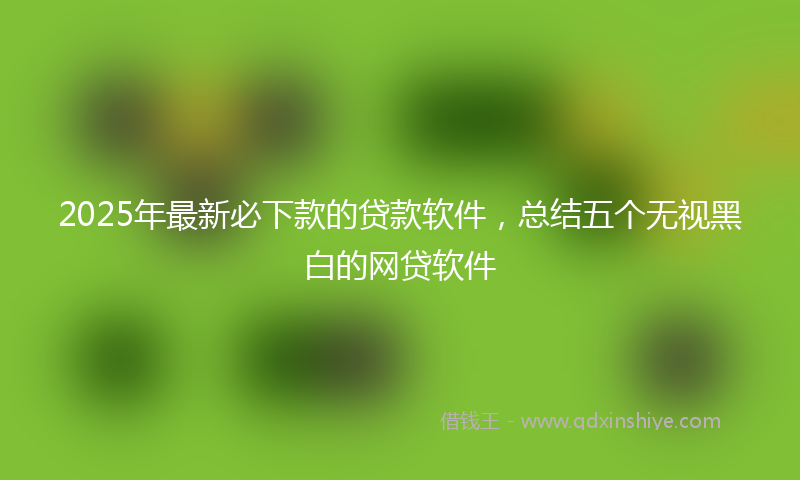 2025年最新必下款的贷款软件，总结五个无视黑白的网贷软件