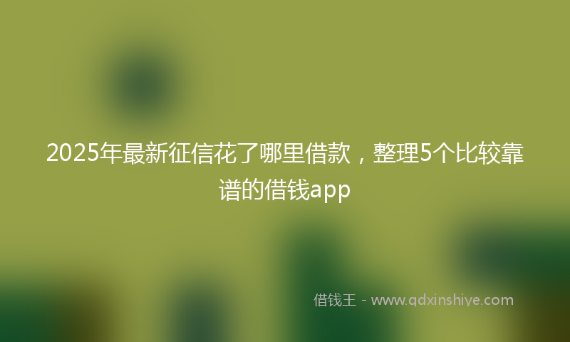 2025年最新征信花了哪里借款，整理5个比较靠谱的借钱app