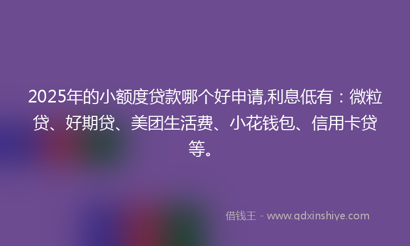 2025年的小额度贷款哪个好申请,利息低有：微粒贷、好期贷、美团生活费、小花钱包、信用卡贷等。