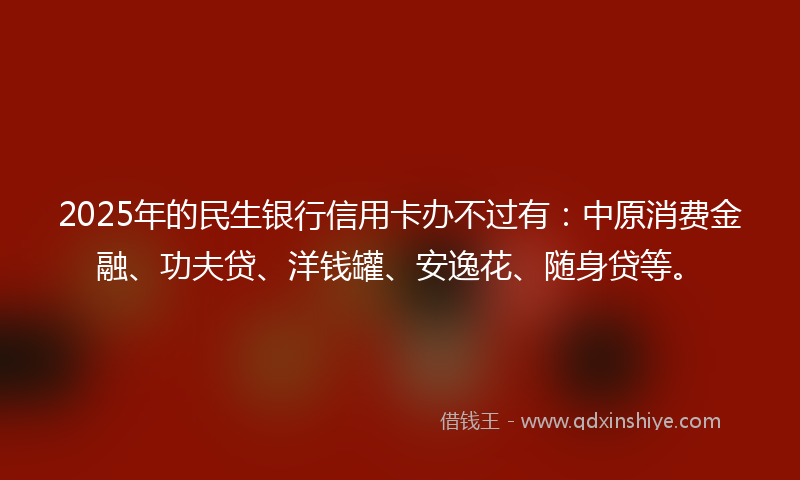 2025年的民生银行信用卡办不过有：中原消费金融、功夫贷、洋钱罐、安逸花、随身贷等。