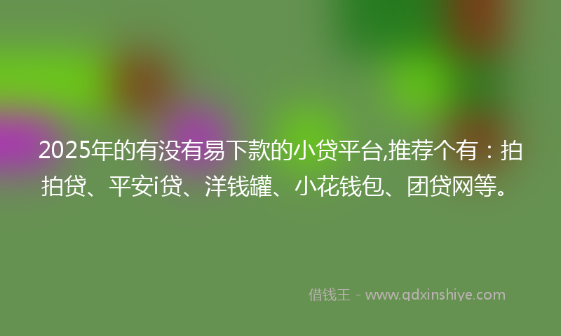 2025年的有没有易下款的小贷平台,推荐个有：拍拍贷、平安i贷、洋钱罐、小花钱包、团贷网等。
