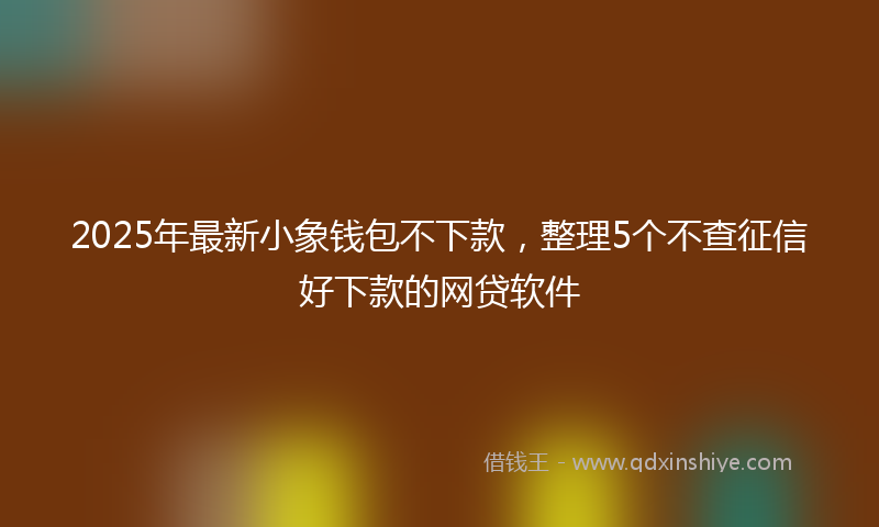 2025年最新小象钱包不下款，整理5个不查征信好下款的网贷软件