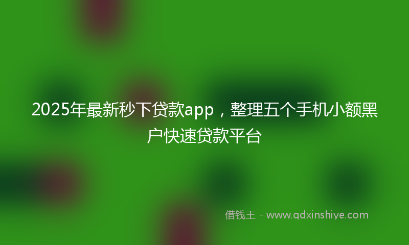 2025年最新秒下贷款app，整理五个手机小额黑户快速贷款平台
