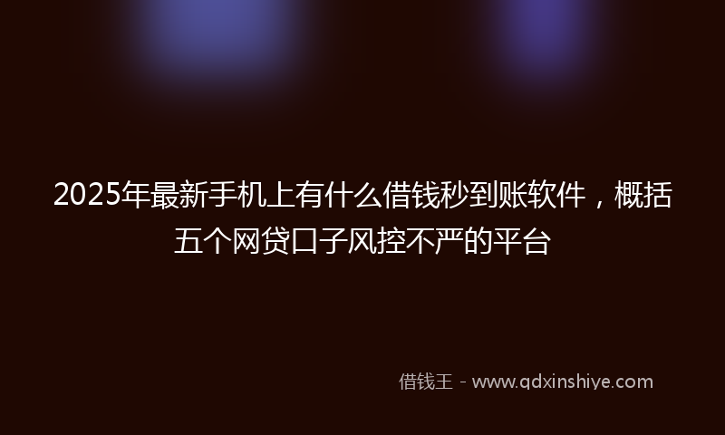 2025年最新手机上有什么借钱秒到账软件，概括五个网贷口子风控不严的平台