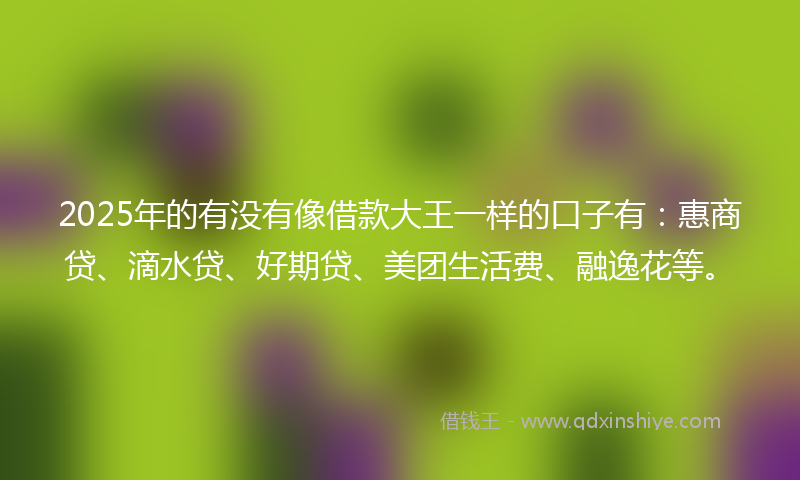 2025年的有没有像借款大王一样的口子有：惠商贷、滴水贷、好期贷、美团生活费、融逸花等。