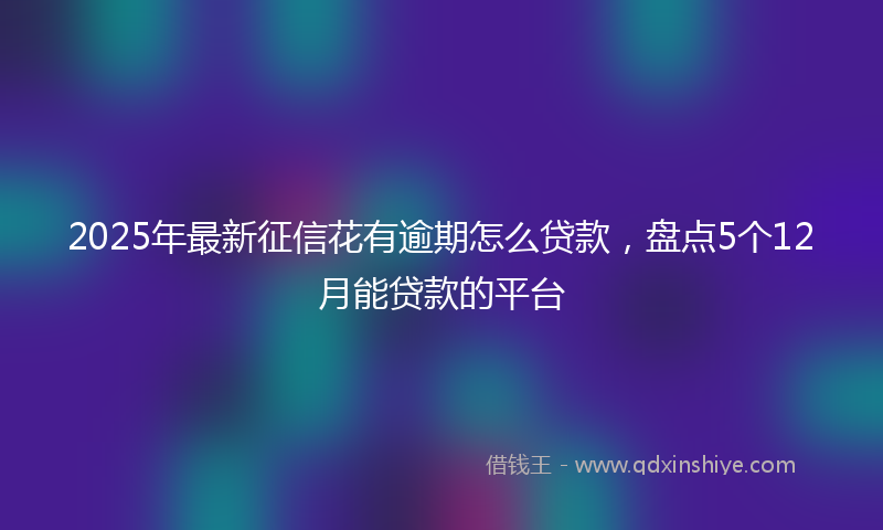 2025年最新征信花有逾期怎么贷款，盘点5个12月能贷款的平台