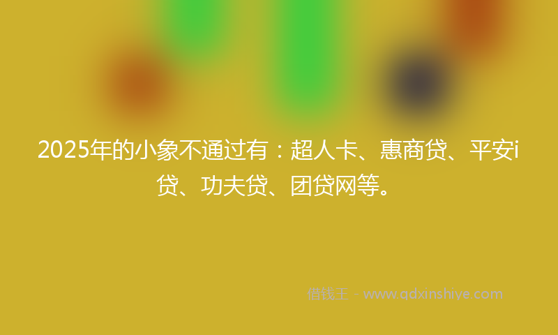 2025年的小象不通过有：超人卡、惠商贷、平安i贷、功夫贷、团贷网等。