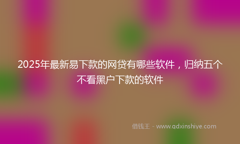 2025年最新易下款的网贷有哪些软件，归纳五个不看黑户下款的软件