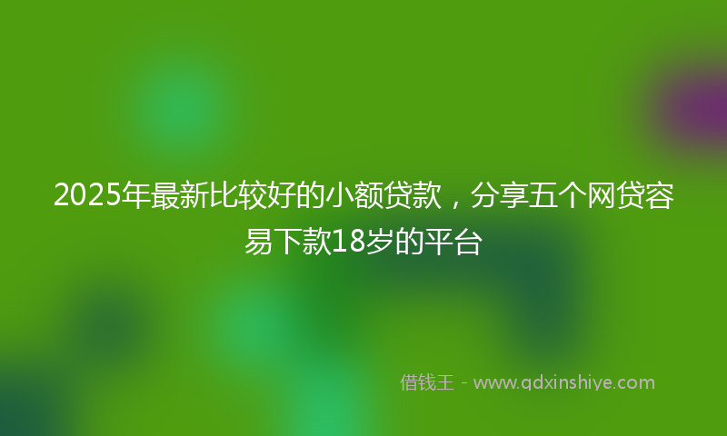 2025年最新比较好的小额贷款，分享五个网贷容易下款18岁的平台